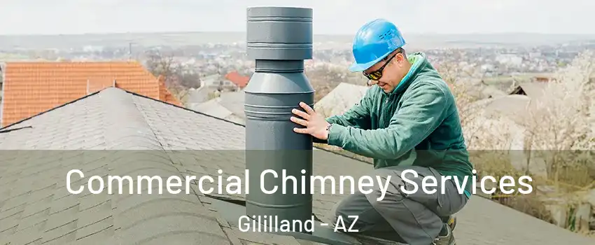 Commercial Chimney Services Gililland - AZ