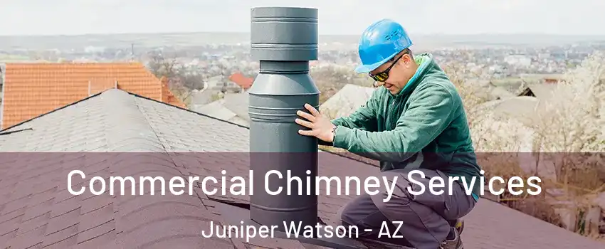 Commercial Chimney Services Juniper Watson - AZ