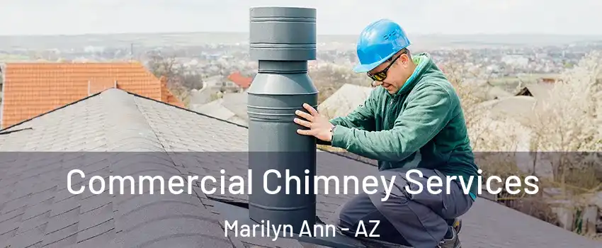 Commercial Chimney Services Marilyn Ann - AZ