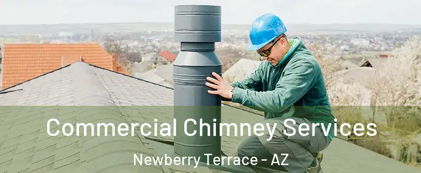 Commercial Chimney Services Newberry Terrace - AZ
