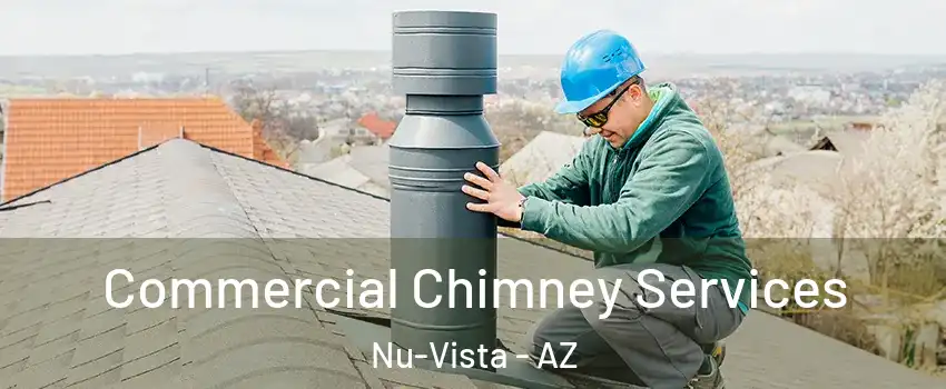 Commercial Chimney Services Nu-Vista - AZ