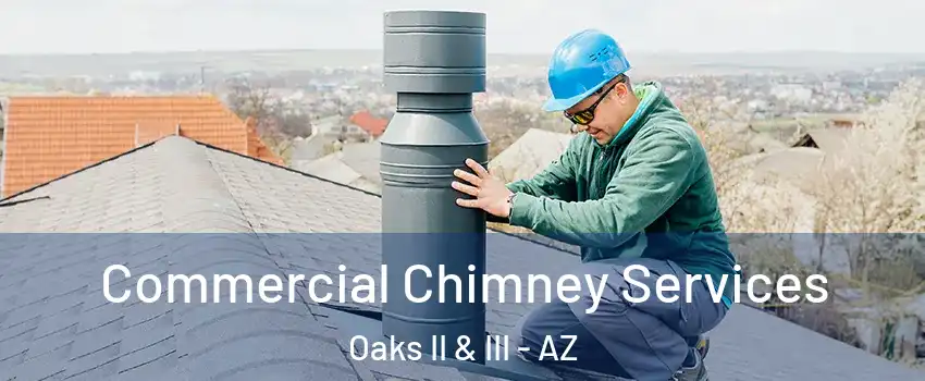 Commercial Chimney Services Oaks II & III - AZ