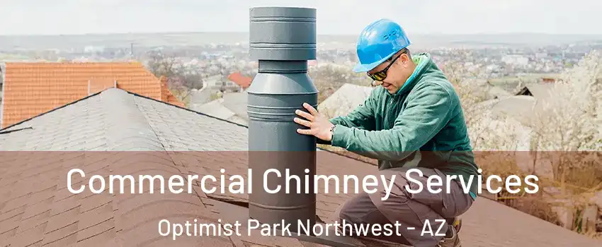 Commercial Chimney Services Optimist Park Northwest - AZ