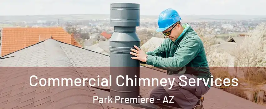 Commercial Chimney Services Park Premiere - AZ