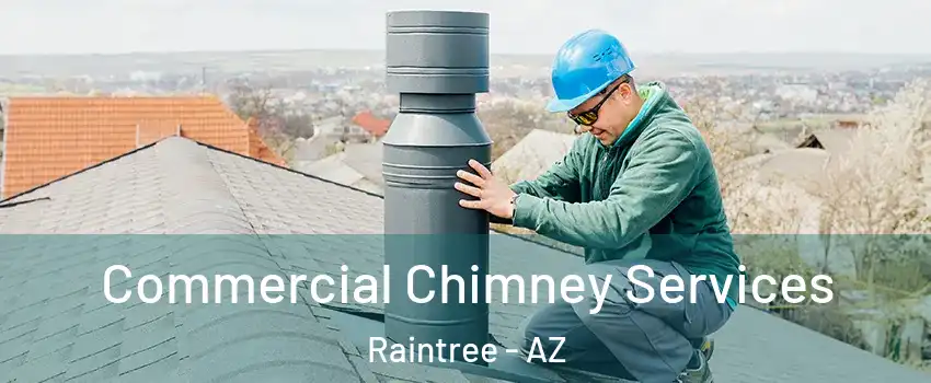 Commercial Chimney Services Raintree - AZ