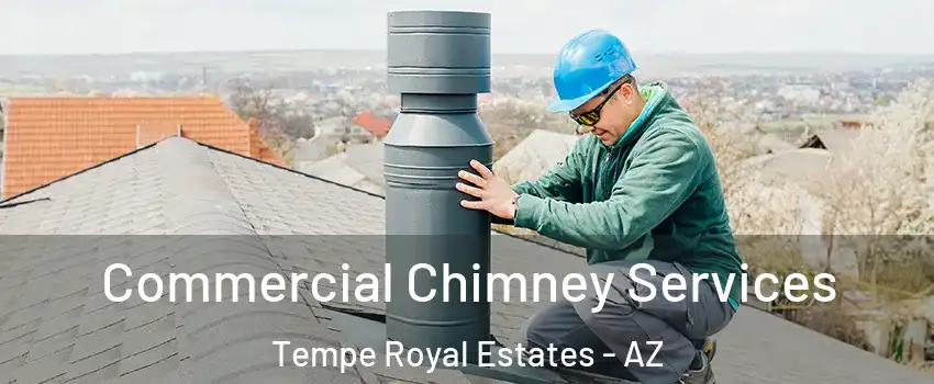 Commercial Chimney Services Tempe Royal Estates - AZ