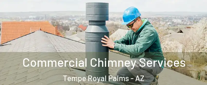 Commercial Chimney Services Tempe Royal Palms - AZ