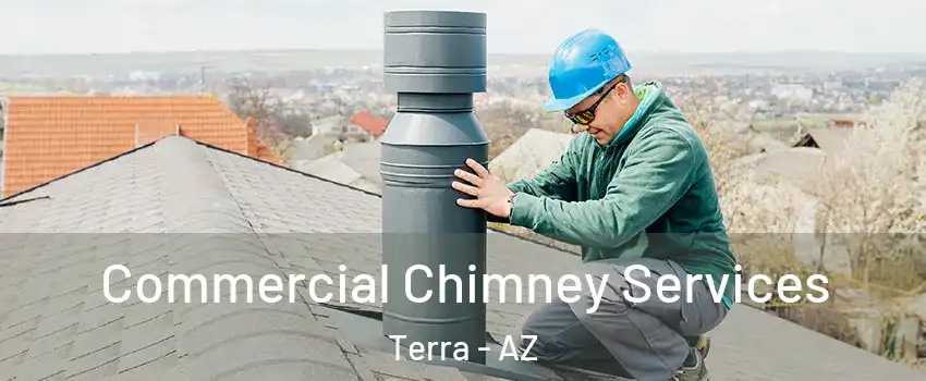 Commercial Chimney Services Terra - AZ