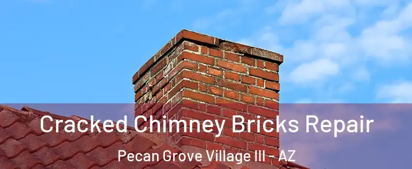Cracked Chimney Bricks Repair Pecan Grove Village III - AZ