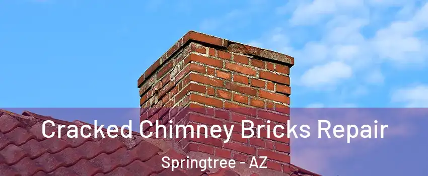 Cracked Chimney Bricks Repair Springtree - AZ