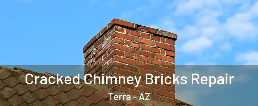 Cracked Chimney Bricks Repair Terra - AZ