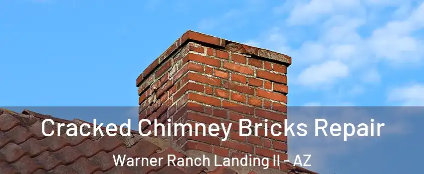 Cracked Chimney Bricks Repair Warner Ranch Landing II - AZ