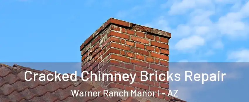 Cracked Chimney Bricks Repair Warner Ranch Manor I - AZ