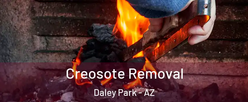 Creosote Removal Daley Park - AZ