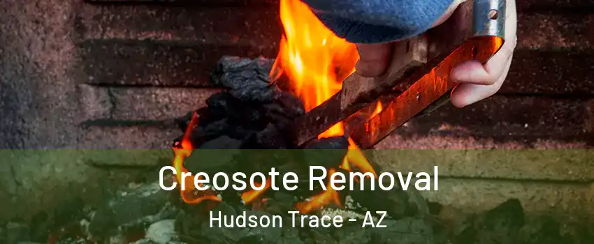 Creosote Removal Hudson Trace - AZ