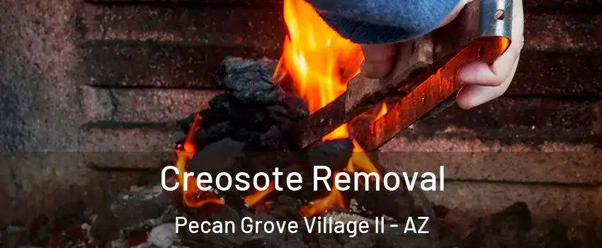 Creosote Removal Pecan Grove Village II - AZ