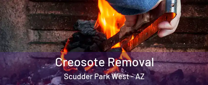 Creosote Removal Scudder Park West - AZ