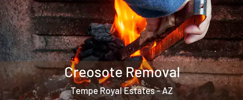 Creosote Removal Tempe Royal Estates - AZ