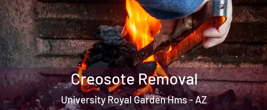 Creosote Removal University Royal Garden Hms - AZ