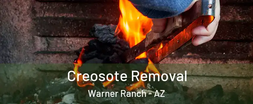 Creosote Removal Warner Ranch - AZ