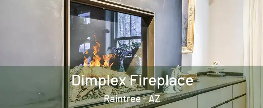 Dimplex Fireplace Raintree - AZ