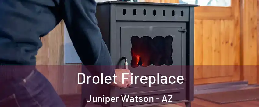 Drolet Fireplace Juniper Watson - AZ