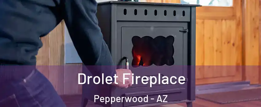 Drolet Fireplace Pepperwood - AZ