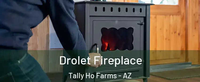 Drolet Fireplace Tally Ho Farms - AZ