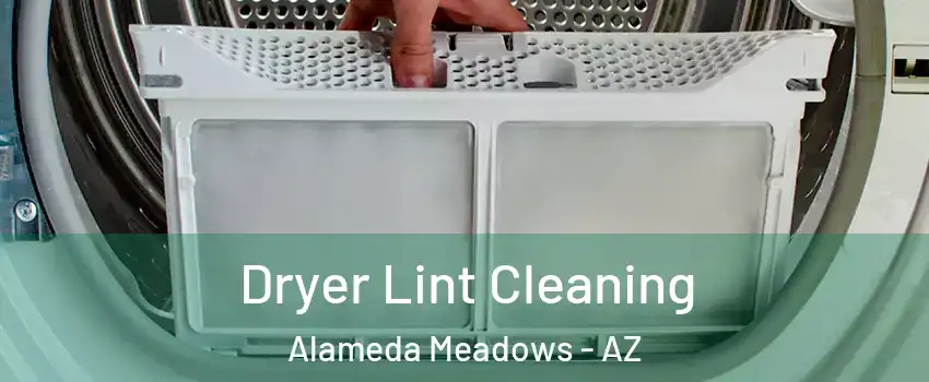 Dryer Lint Cleaning Alameda Meadows - AZ