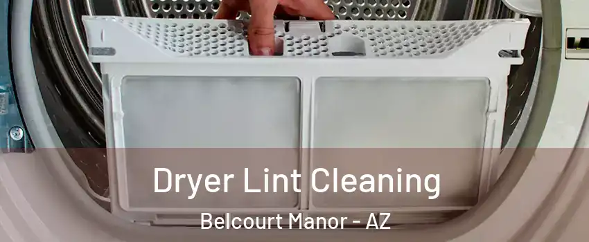 Dryer Lint Cleaning Belcourt Manor - AZ