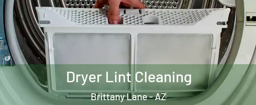 Dryer Lint Cleaning Brittany Lane - AZ