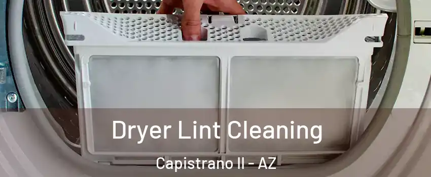 Dryer Lint Cleaning Capistrano II - AZ
