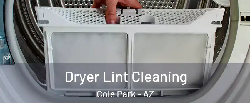 Dryer Lint Cleaning Cole Park - AZ