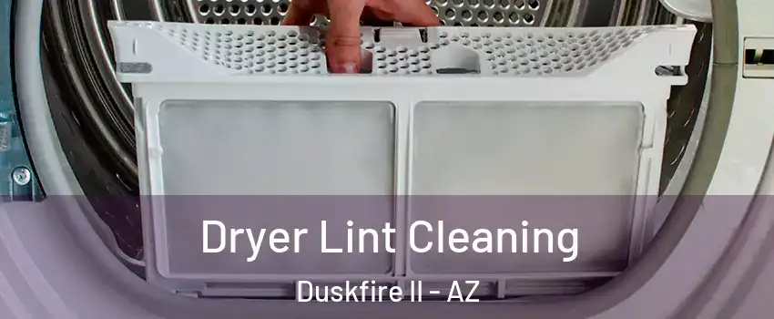 Dryer Lint Cleaning Duskfire II - AZ
