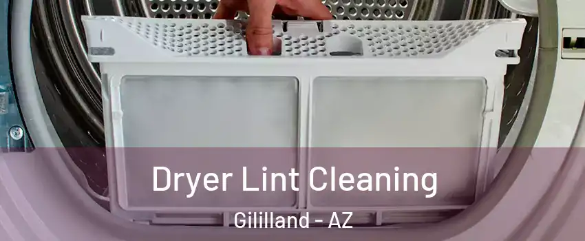 Dryer Lint Cleaning Gililland - AZ