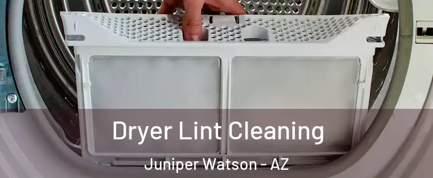 Dryer Lint Cleaning Juniper Watson - AZ