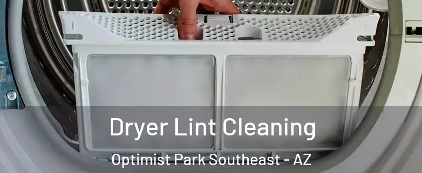 Dryer Lint Cleaning Optimist Park Southeast - AZ