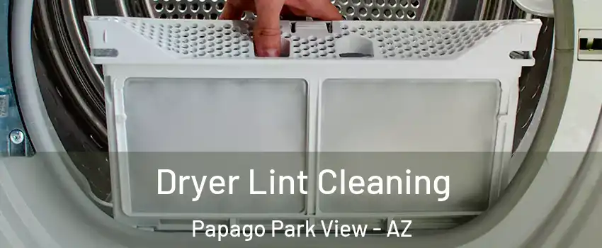 Dryer Lint Cleaning Papago Park View - AZ
