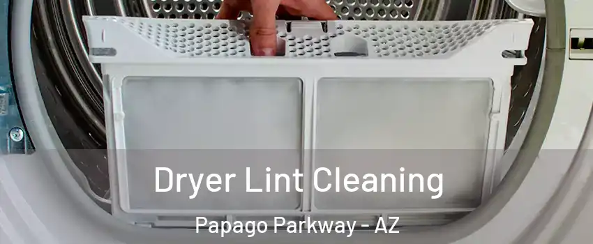 Dryer Lint Cleaning Papago Parkway - AZ