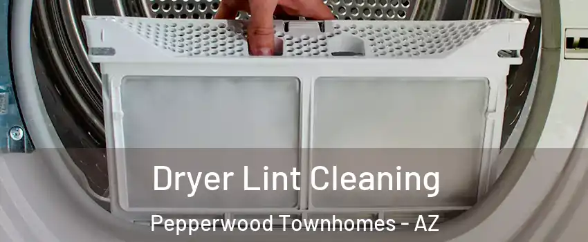 Dryer Lint Cleaning Pepperwood Townhomes - AZ