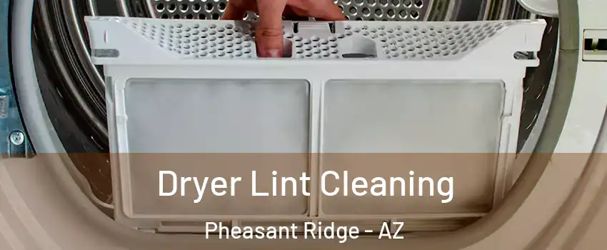 Dryer Lint Cleaning Pheasant Ridge - AZ