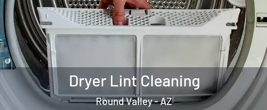 Dryer Lint Cleaning Round Valley - AZ