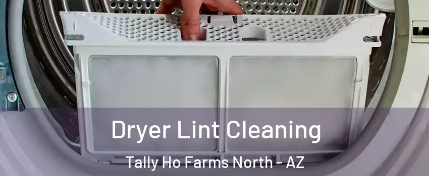Dryer Lint Cleaning Tally Ho Farms North - AZ