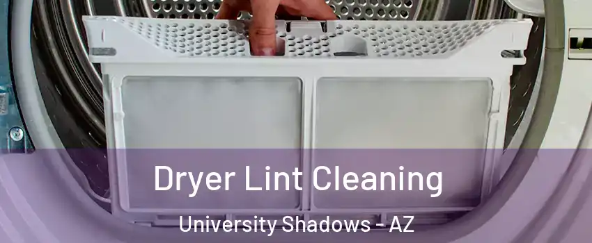 Dryer Lint Cleaning University Shadows - AZ