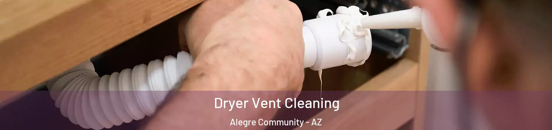 Dryer Vent Cleaning Alegre Community - AZ