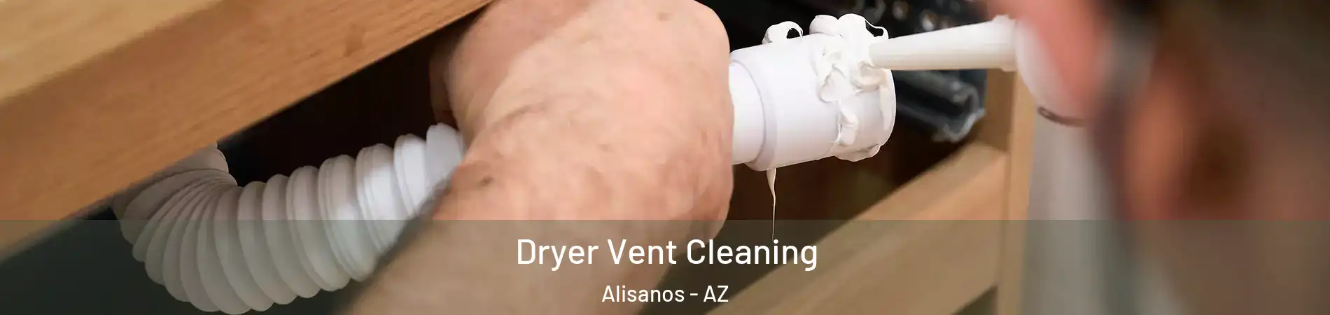 Dryer Vent Cleaning Alisanos - AZ