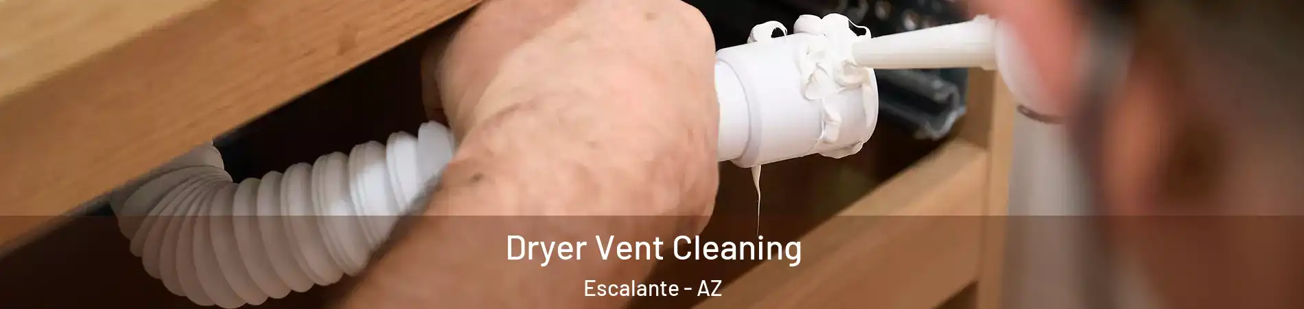 Dryer Vent Cleaning Escalante - AZ