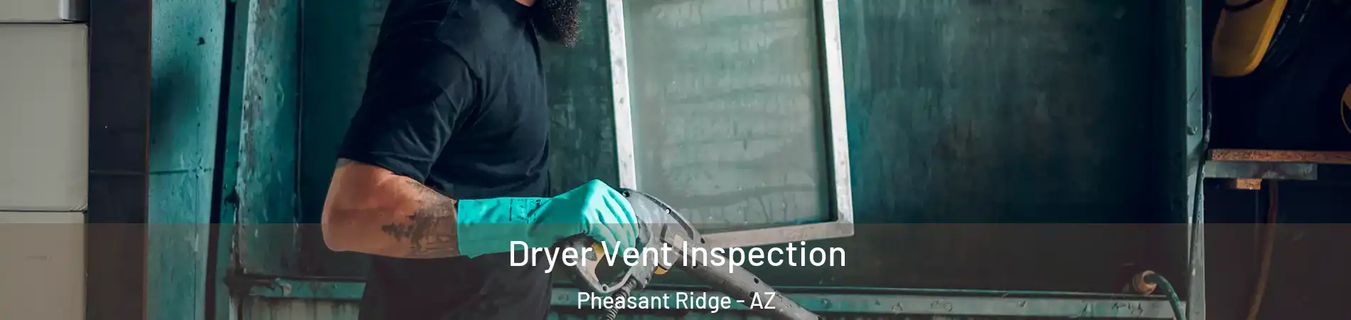 Dryer Vent Inspection Pheasant Ridge - AZ