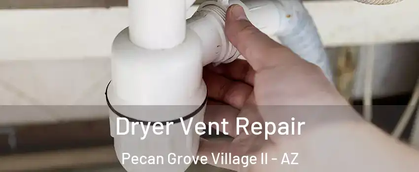 Dryer Vent Repair Pecan Grove Village II - AZ
