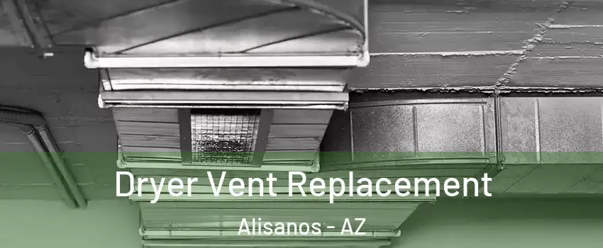 Dryer Vent Replacement Alisanos - AZ
